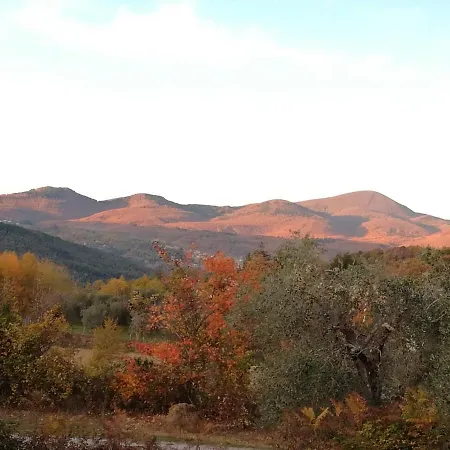 Podere Di Maggio - Glamping Tent 3